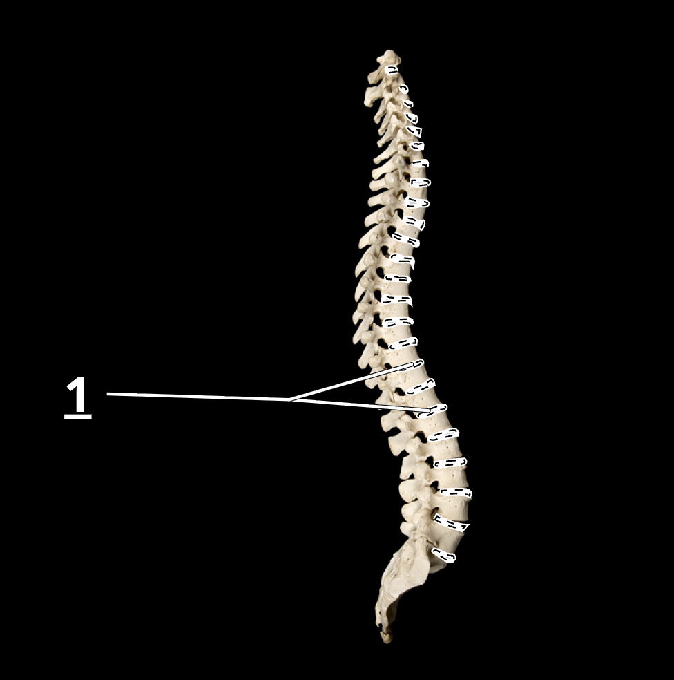 <p>1</p>