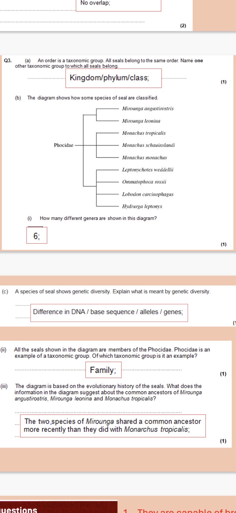<p><span>Explanation for the first question:</span></p><p><span>All seals belong to the same order." (Specifically, the order Carnivora).</span></p><p><span>Because an Order is a higher, broader level than Family, Genus, or Species, it "contains" everything below it. However, the reverse isn't true</span></p>