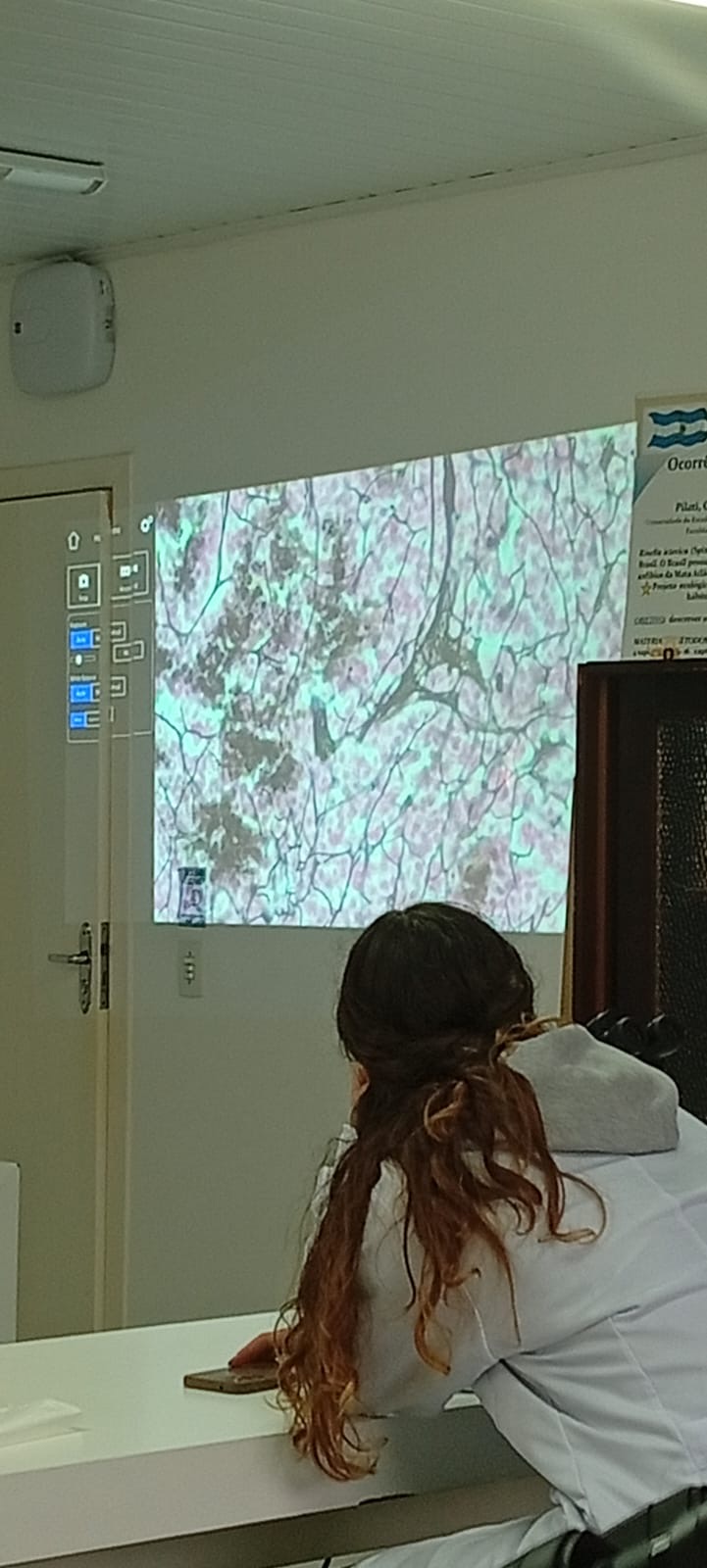 term image