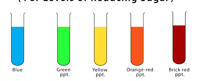 <p>What is this test?</p>