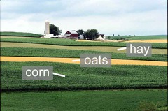 <p>A soil conservation method that which two or more crops are planted in one field.</p>