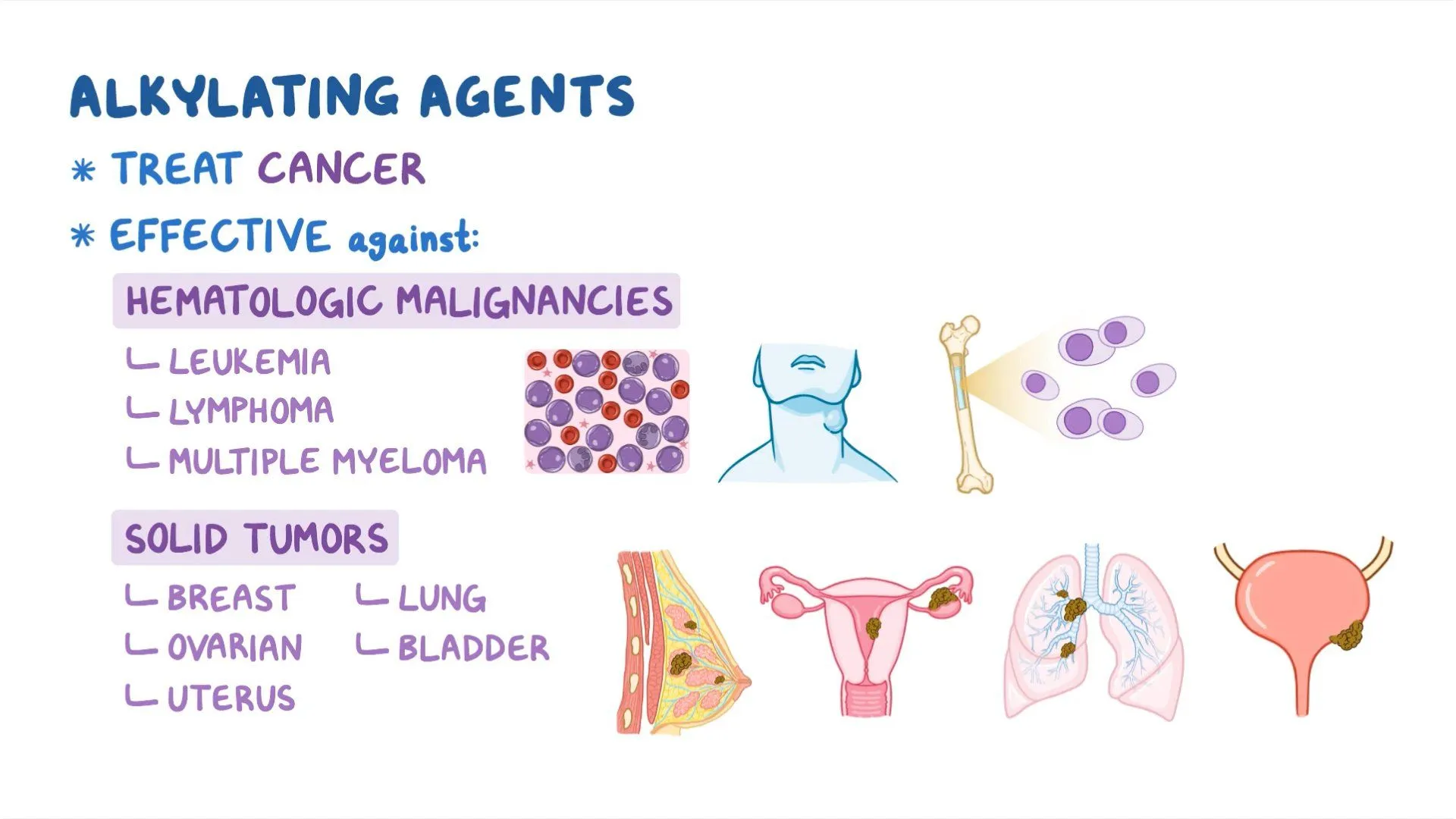 <p>cytotoxic agent category: alkylating agents </p>