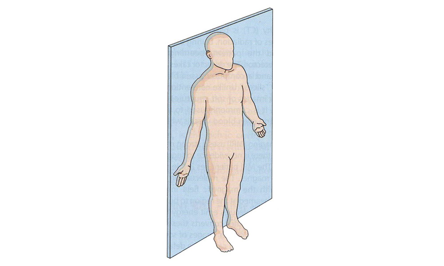 <p>frontal plane that divides the body, or any body structure, vertically into front and back (anterior and posterior) sections. Runs</p>