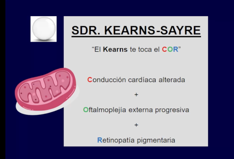 <p>Bloqueos AV </p><p>Retinopatia pigmentaria: pierden visión periferica, ven peor por la noche </p>