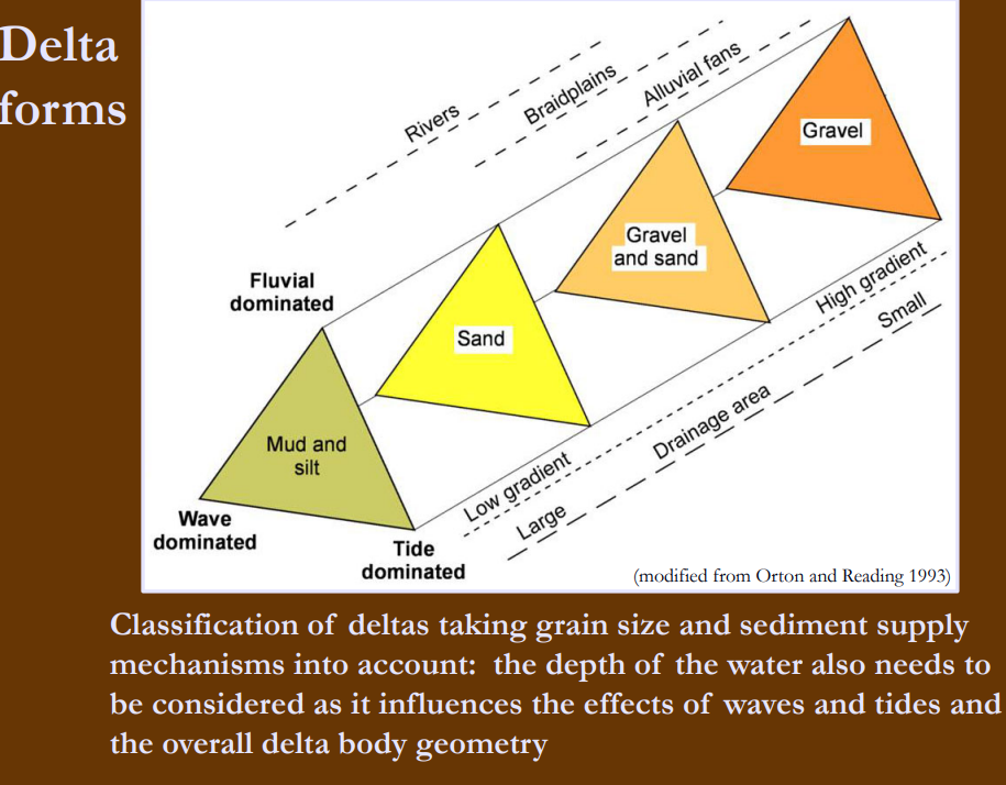 <ol><li><p>size and discharge of river</p></li><li><p>wave energy</p></li><li><p>tidal currents</p></li><li><p>longshore drift</p></li><li><p>grain size</p></li><li><p>depth</p></li></ol><p></p><p>fluvial (rare), wave, or tidal-dominated</p>