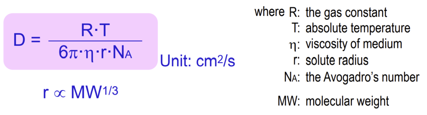 <p>defines the diffusion coeffcient (D) in Fick’s diffusion equation and relates it to its attributes</p><ul><li><p>D is defined by the solute size, the medium’s viscosity, and the medium’s temperature</p><ul><li><p>Smaller size → Larger D → Greater diffusion and absorption</p></li><li><p>Lower viscosity → Larger D → Greater diffusion and absorption</p></li><li><p>Higher temperature → Larger D → Greater diffusion and absorption</p></li></ul></li></ul><p></p>