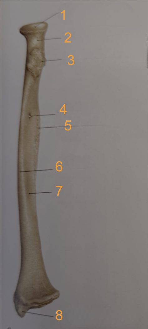 <p>5</p>