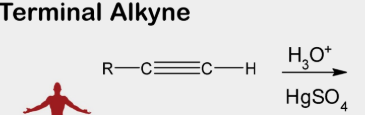 <p>hydration of alkynes (terminal)</p>