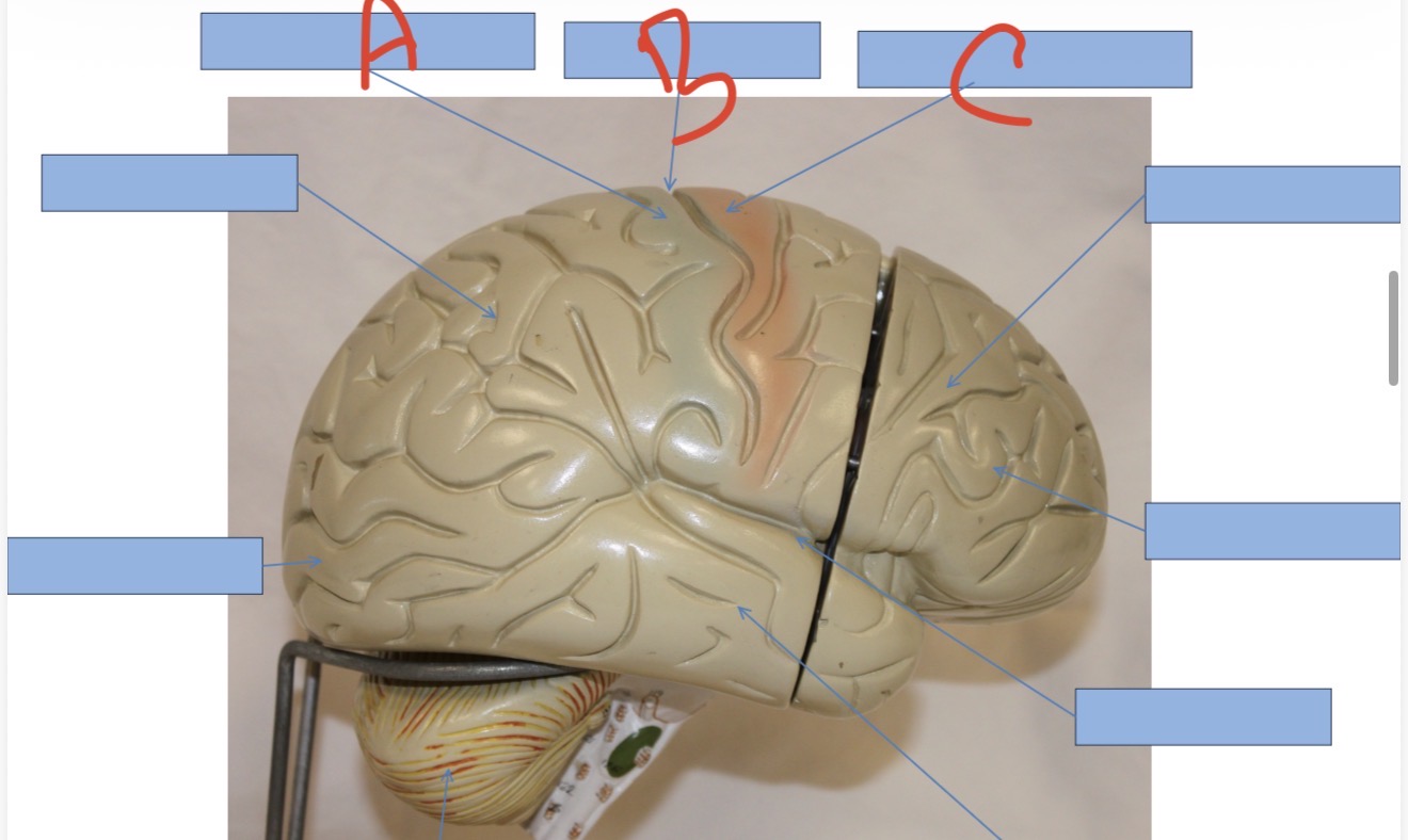 <p>What is B?</p>