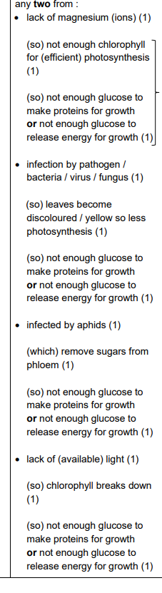 <p>`4213412341234</p>