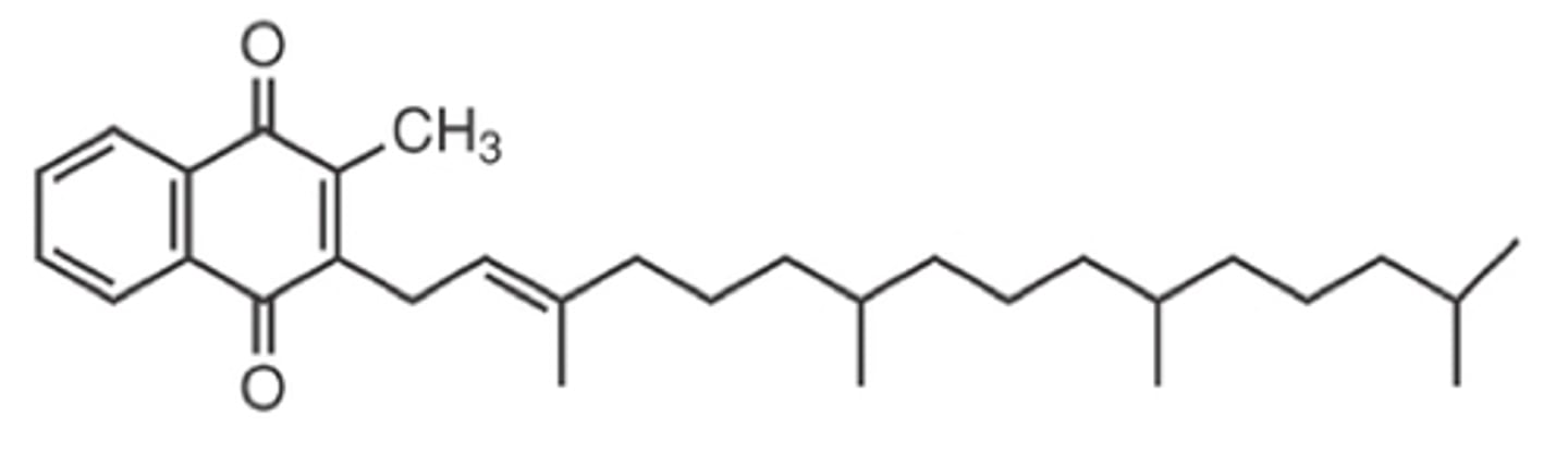 <p>Essential for blood clotting and bone metabolism.</p>