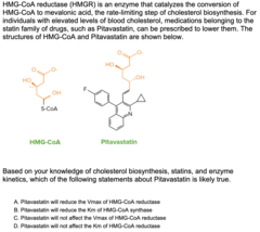 <p>Pitavastatin will not affect the Vmax of HMG-CoA reductase</p>