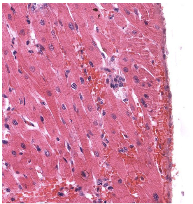 <p>Identify Which partition this is and Where?</p>