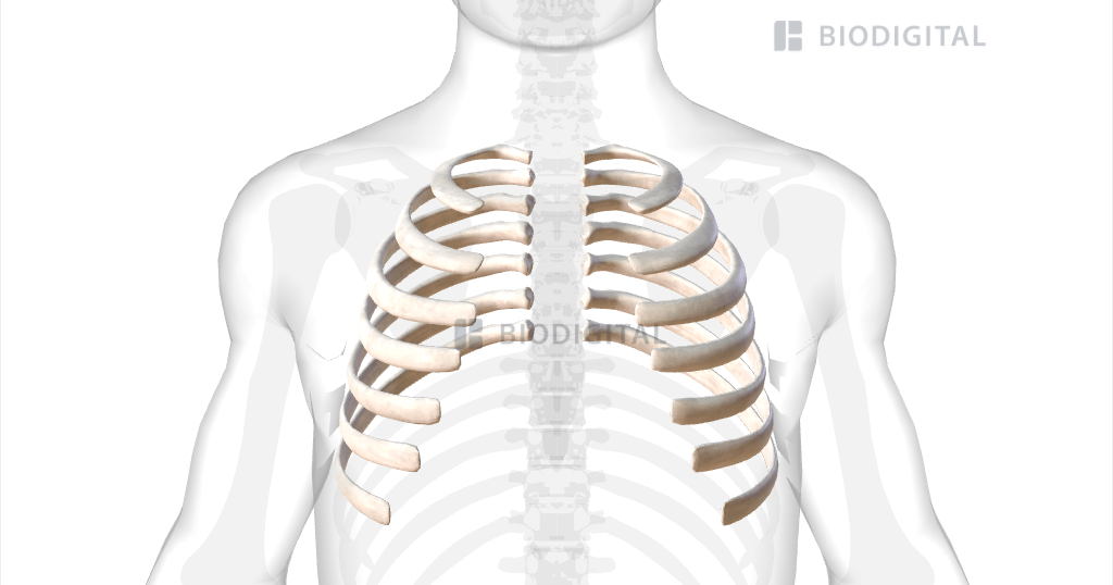 <p>Name this structure</p>