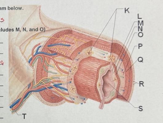 <p>N</p>