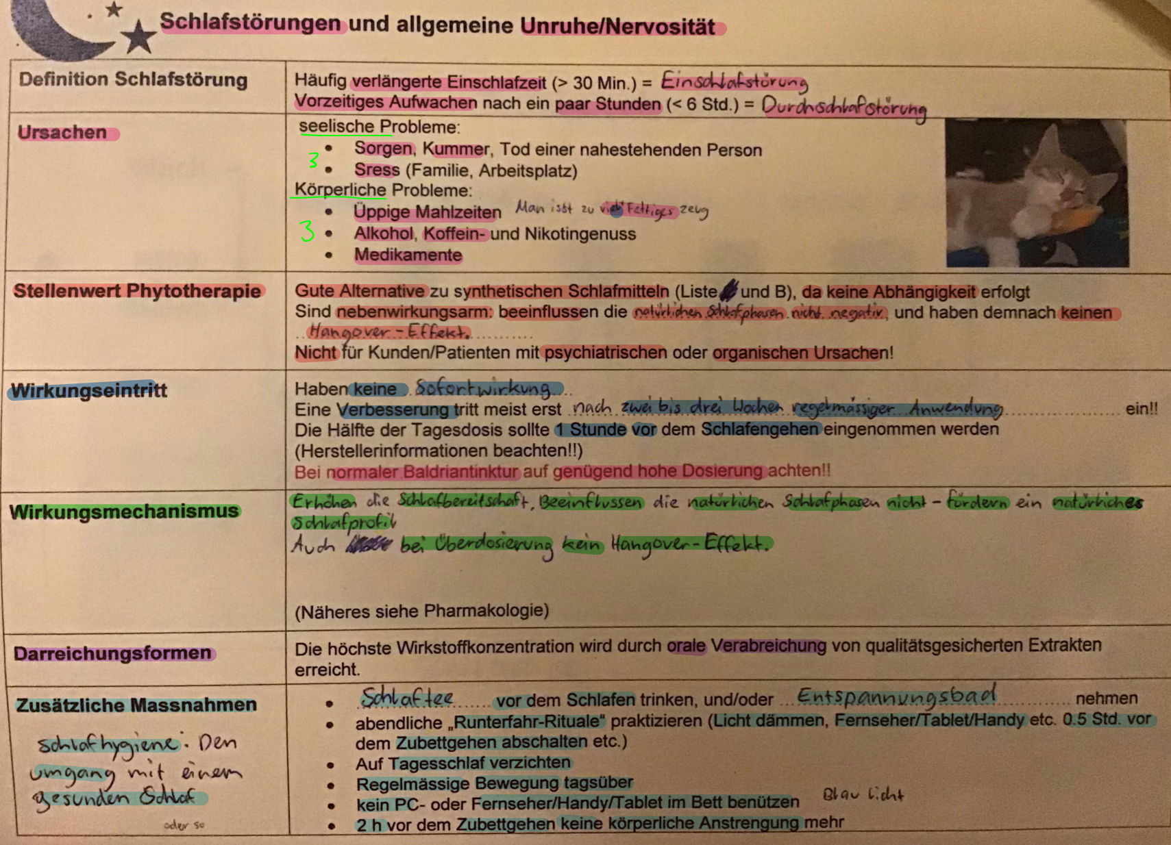 knowt flashcard image