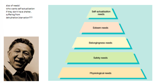 <ul><li><p>Also of needs!</p></li><li><p>Who wants self-actualization if they don't have shelter, suffering from dehydration/starvation???</p></li></ul><p></p>