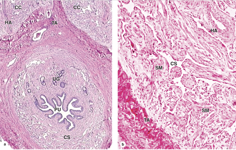 <p>What is this?</p>