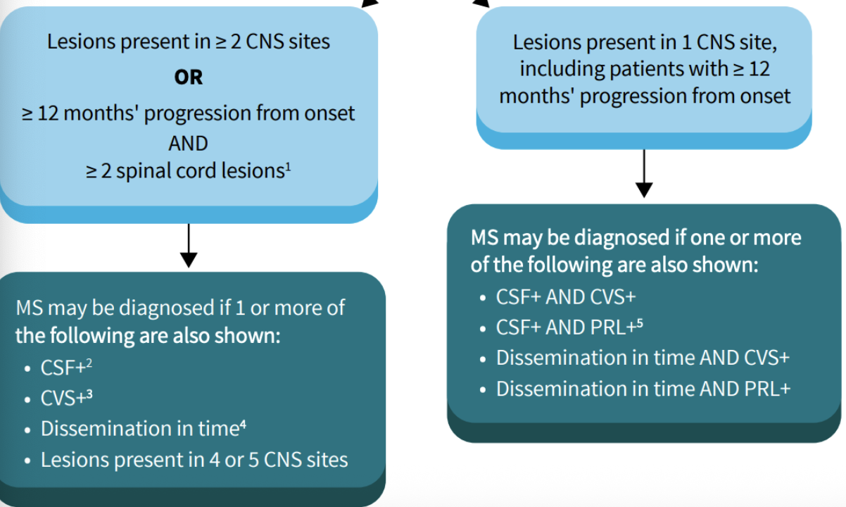 <p>Relation to dissemination in space and time</p><p>Changes </p><ul><li><p>optic nerve can serve as fifth anatomical location </p></li><li><p>dissemination in time (NOT mandatory anymore)</p></li><li><p>paramagnetic rim lesions by MRI can be used to diagnose in specific situations </p></li><li><p>addition al recommendation should be considered for confirming diagnosis <u>></u> 50 years with vascular comorbitiies </p><ul><li><p>hyperlipidemia </p></li><li><p>diabetes?</p></li></ul></li></ul><p></p>