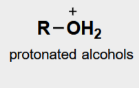 <p>protnated alcohols</p>