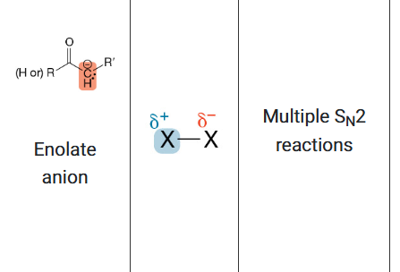 <ol><li><p>4. Electron Rich Species (Nucleophile)</p></li><li><p>5. Electron Poor Species (Electrophile)</p></li><li><p>6. Mechanism</p></li></ol><p></p>