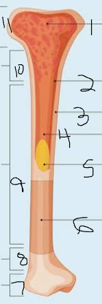 <p>What is number 1</p>