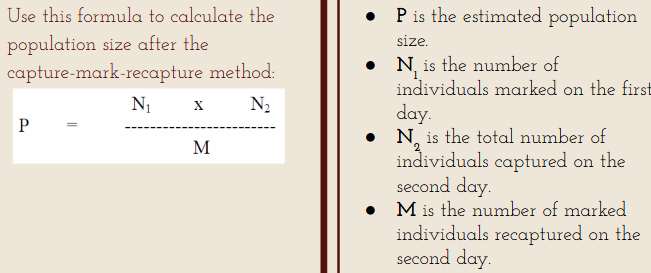 <p>Portion of population captured, marked and released. Later, another portion is captured and marked individuals counted. Number of marked individuals in 2nd sample should be proportionate to whole population. Divide number of marked individuals by proportion of marked individuals in 2nd sample.</p>