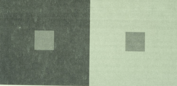 <p>The visual system prioritizes edges and relative contrast, so our subjective perception of absolute brightness is inaccurate despite strong sensitivity to changes in luminance.</p>