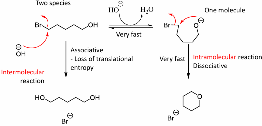 <p>Intramolecular cyclysations are favoured they are faster </p><p>Most favoured. 5>6>3>4>7. least </p>
