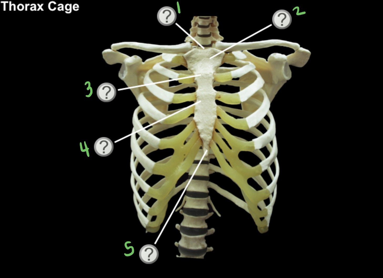<p>What is 4?</p>