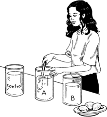 <p>a test to see if your hypothesis is correct</p>