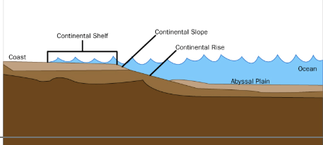 <p>Abyssal Plain</p>