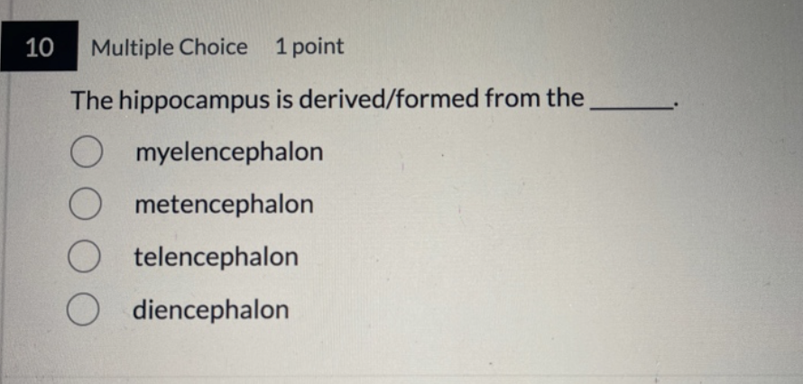 <p>the hippocampus is derived formed from the</p>