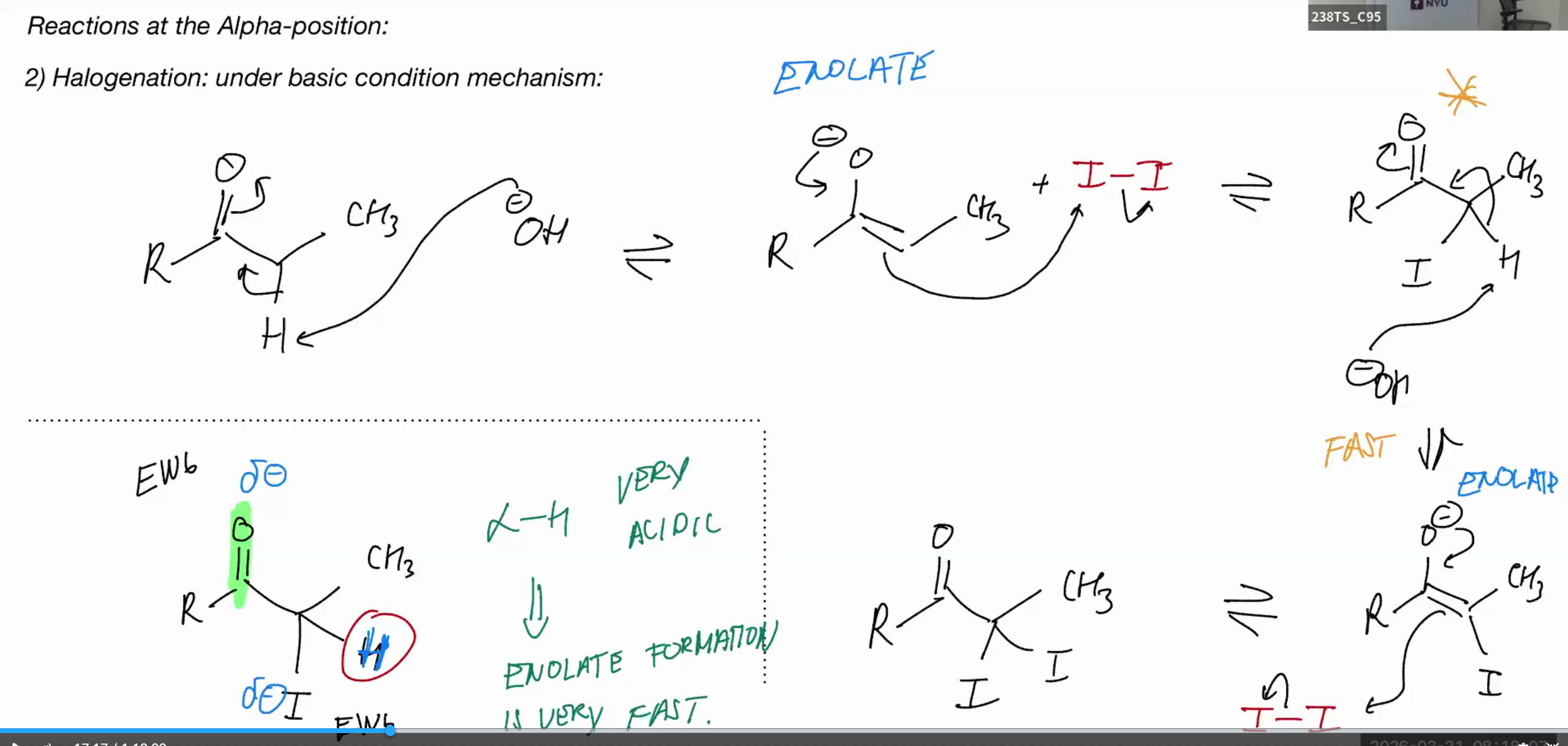knowt flashcard image