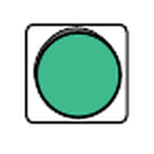 <p>What does a steady green light allow?</p>