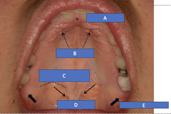 <p>What is E?</p>