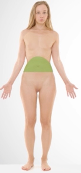 <p>Abdominal</p>