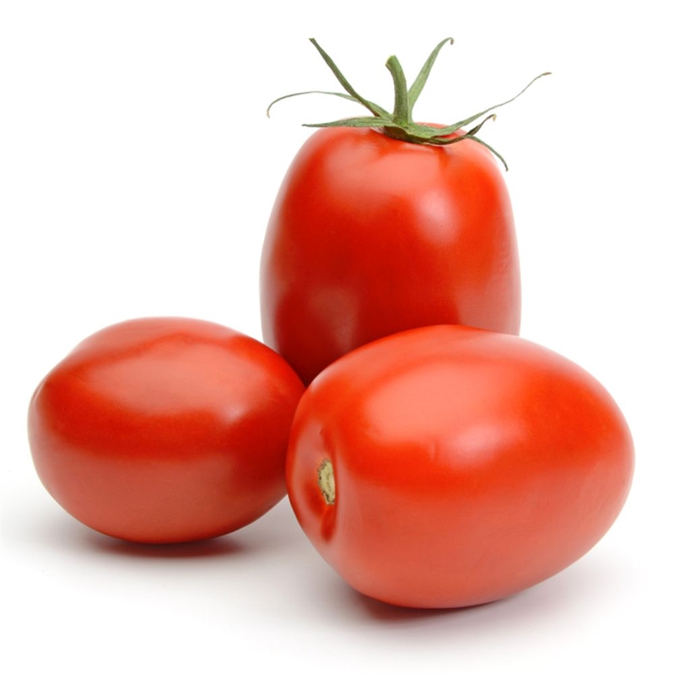 <p>Roma Tomatoes</p>