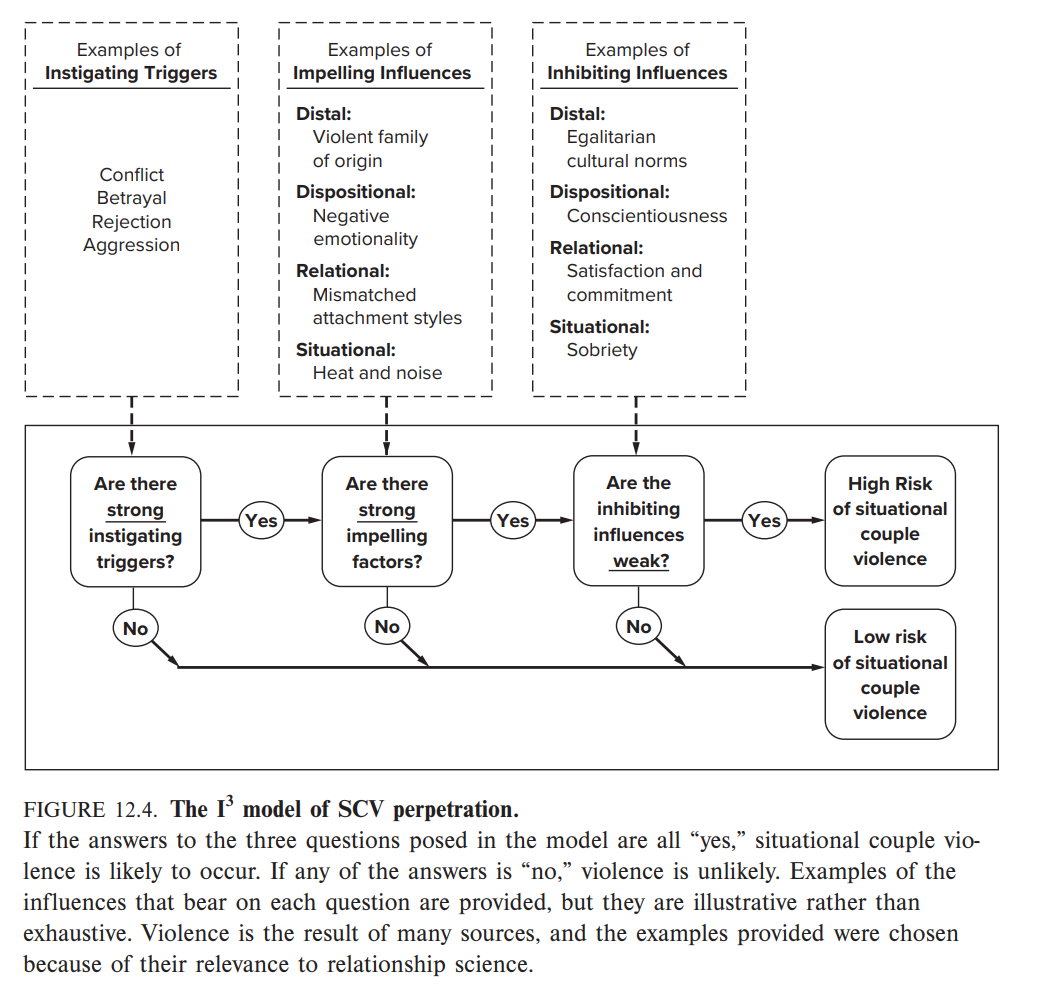 <p>organizes influences on SCV into…</p><ul><li><p>INSTIGATING TRIGGERS that cause one or both partners to be frustrated or on edge</p></li><li><p>IMPELLING INFLUENCES that make it more likely that the partners will experience violent impulses</p></li><li><p>INHIBITING INFLUENCES that encourage the partners to refrain from acting on those impulses</p></li></ul><p></p>