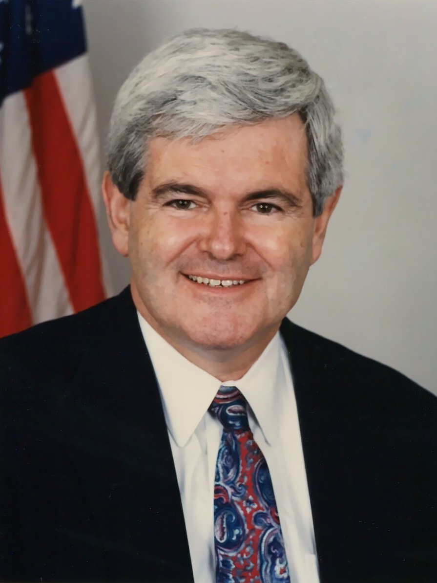 <p>Newt Gingrich</p>