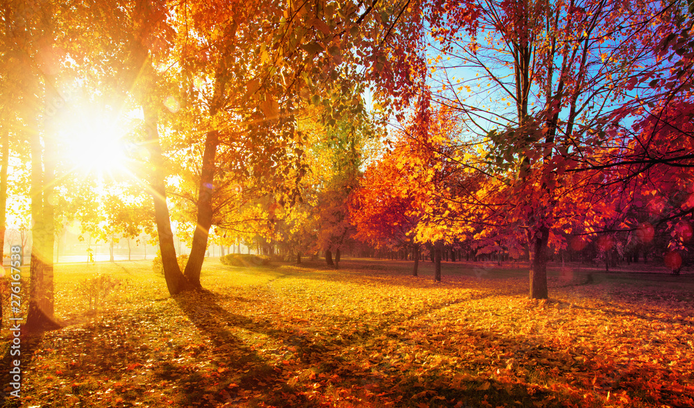 <p>autumn (Br) ____ (Am)</p>