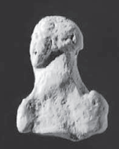 <p>distal foot phalanges (inferior)</p>