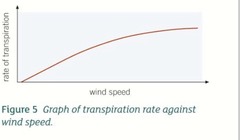 <p>increased air movement = increased transpiration rate </p><p>layer of water vapour surrounding leaf is removed, leading to steeper water potential gradient</p>