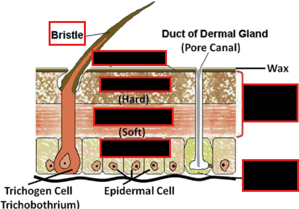 <p>Label the diagram</p>