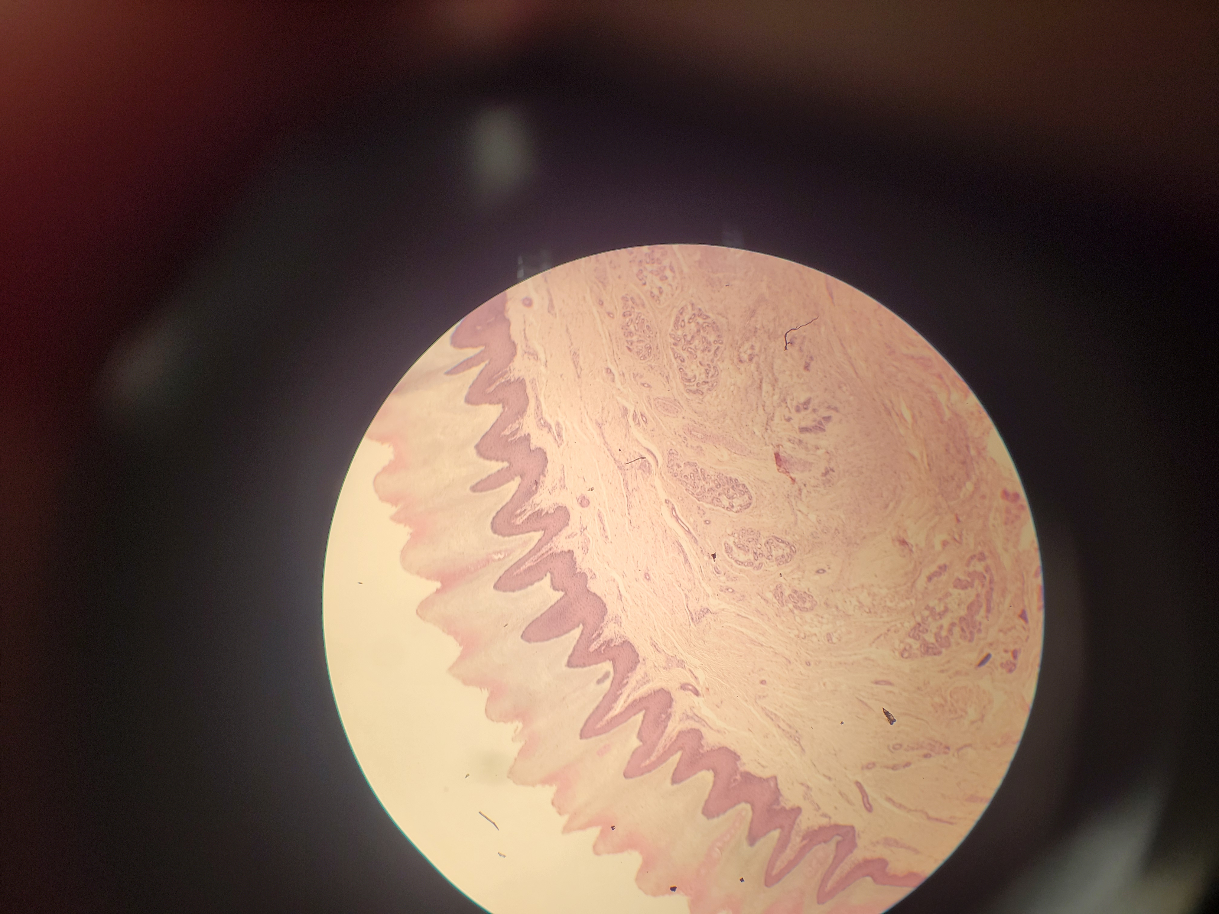 <p>What is this?</p>