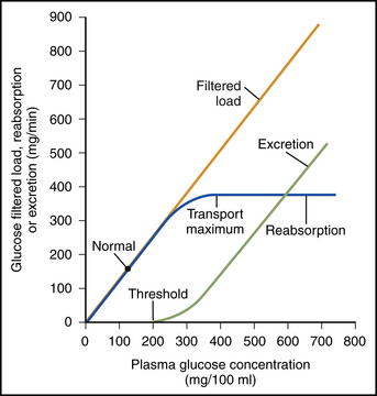 <p>Transport maximum and renal threshold</p>