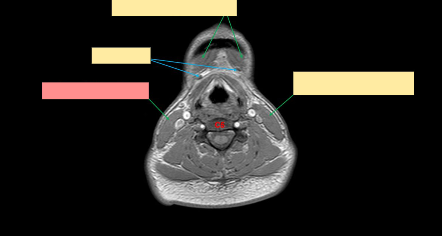 <p>Name the structure</p>