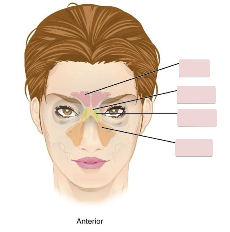 <p>Label the figure</p>