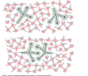 <p>name this bond</p>