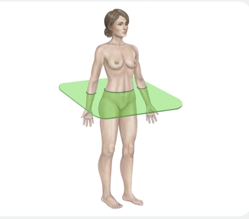 <p>Transverse (axial) plane</p>